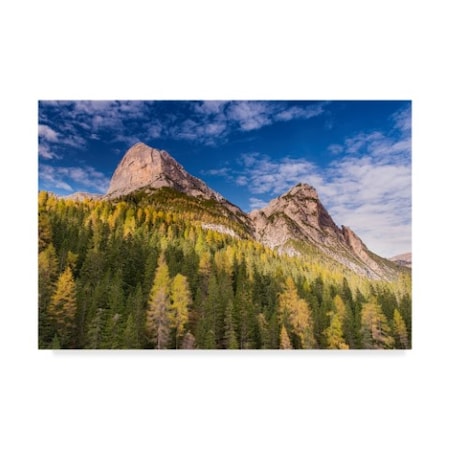 Michael Blanchette Photography 'Larch On A Slope' Canvas Art,30x47